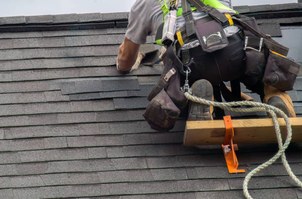Best Roof Gutter Cleaning  in Vernonia, OR